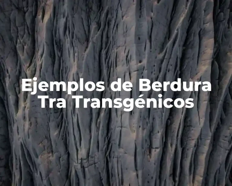 Ejemplos de Berdura Tra Transgénicos