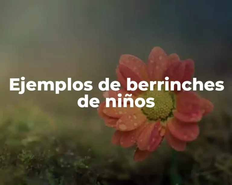 Ejemplos de berrinches de niños