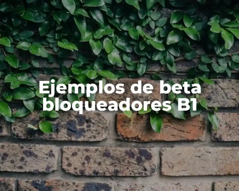 Ejemplos de beta bloqueadores B1
