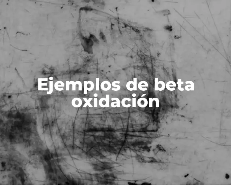 Ejemplos de beta oxidación