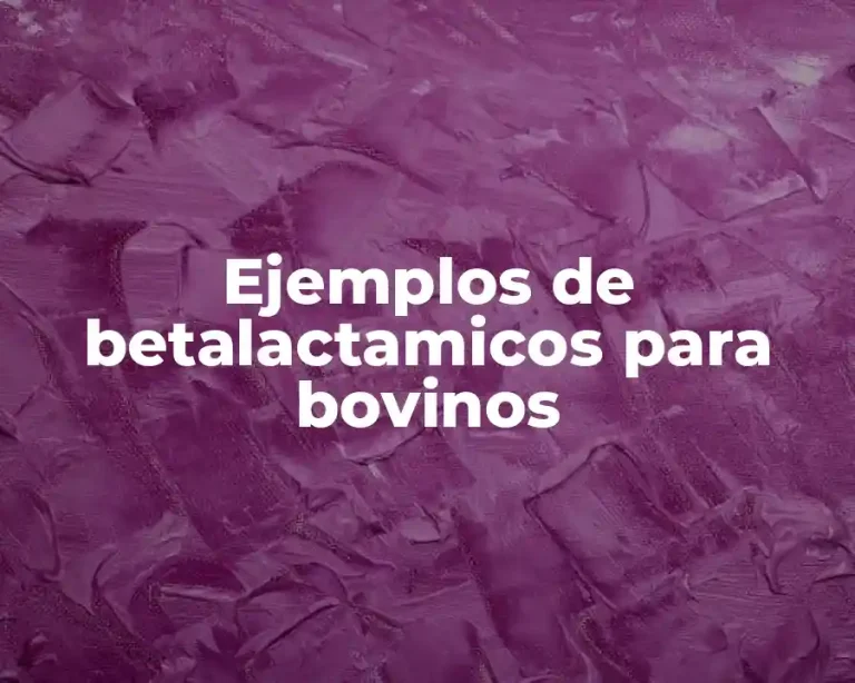 Ejemplos de betalactamicos para bovinos