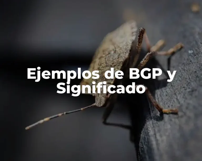 Ejemplos de BGP y Significado