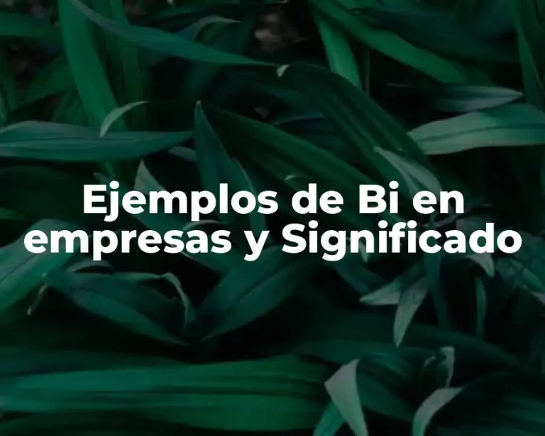 Ejemplos de Bi en empresas y Significado