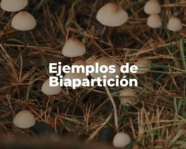 Ejemplos de Biapartición