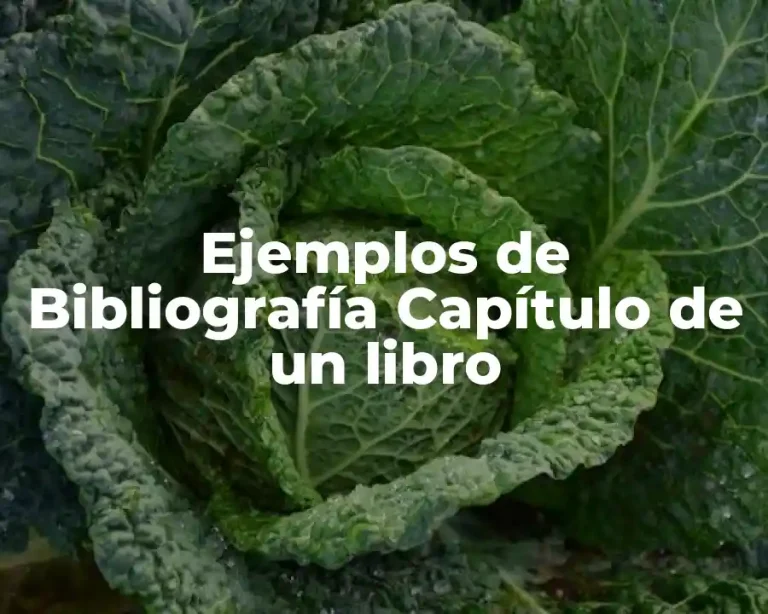 Ejemplos de Bibliografía Capítulo de un libro