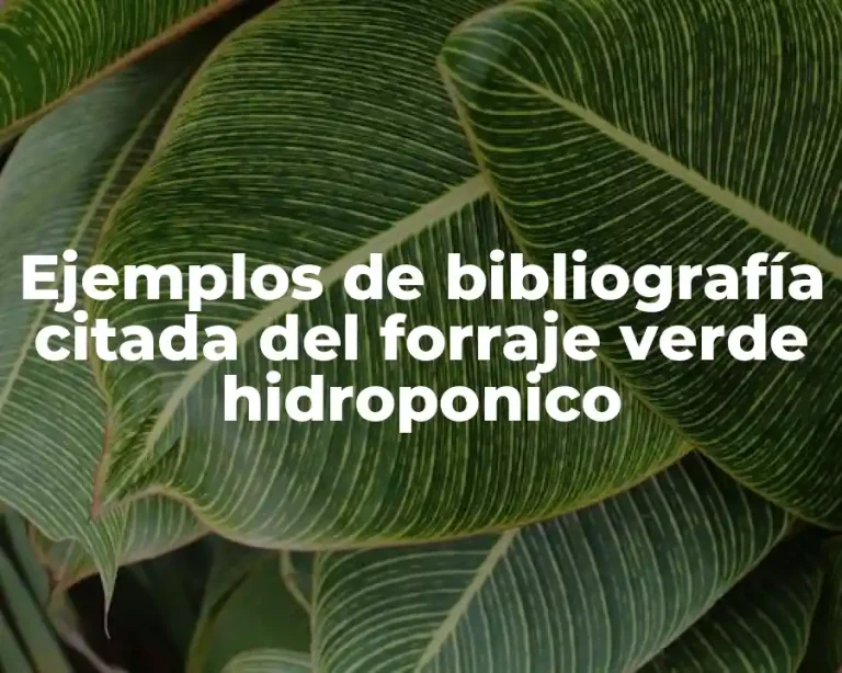 Ejemplos de bibliografía citada del forraje verde hidroponico