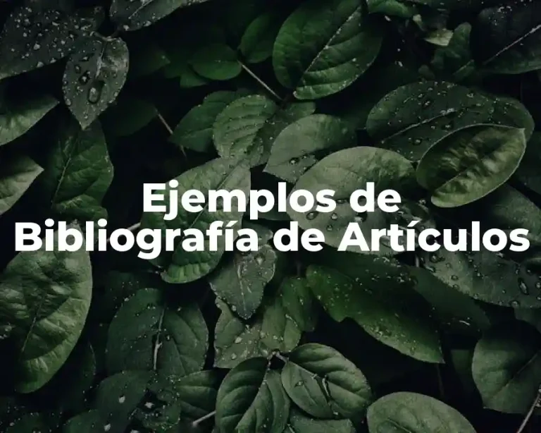 Ejemplos de Bibliografía de Artículos