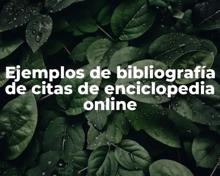 Ejemplos de bibliografía de citas de enciclopedia online