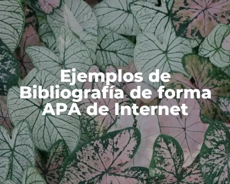 Ejemplos de Bibliografía de forma APA de Internet