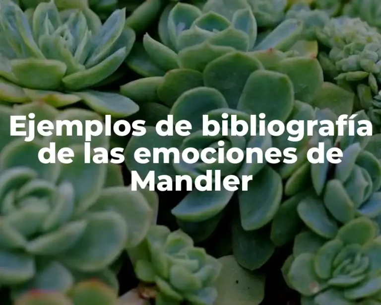 Ejemplos de bibliografía de las emociones de Mandler