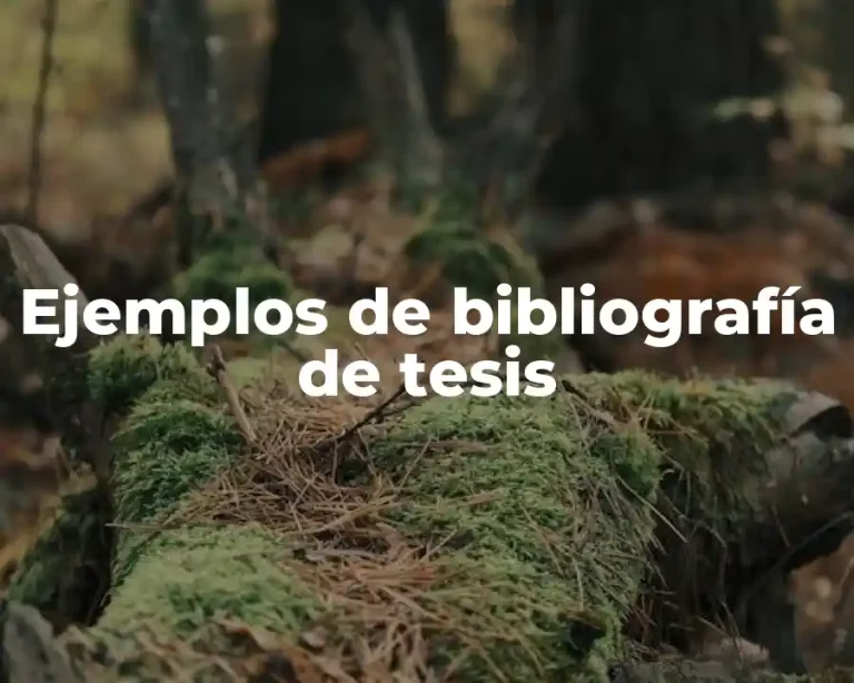Ejemplos de bibliografía de tesis