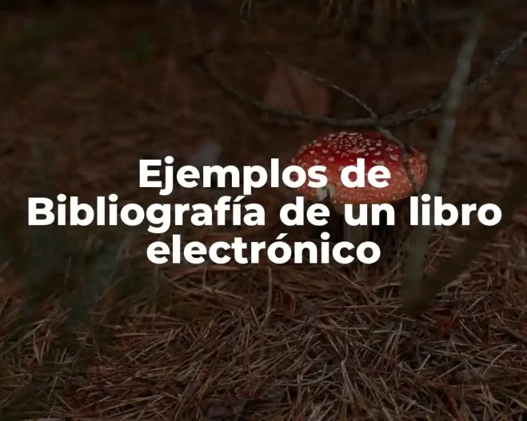Ejemplos de Bibliografía de un libro electrónico