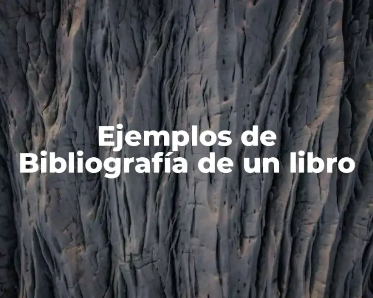 Ejemplos de Bibliografía de un libro