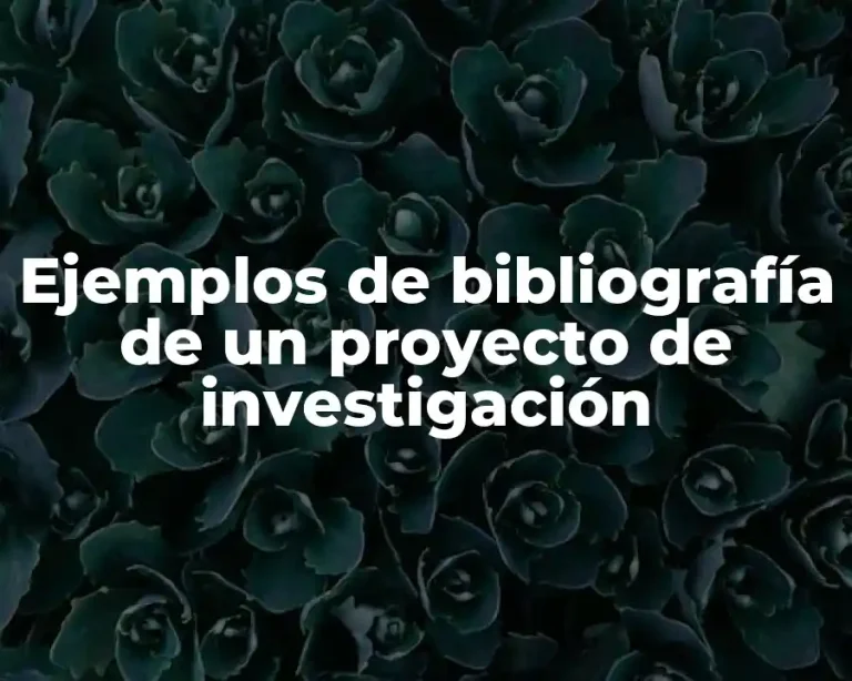 Ejemplos de bibliografía de un proyecto de investigación