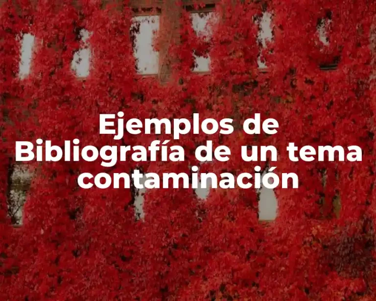 Ejemplos de Bibliografía de un tema contaminación