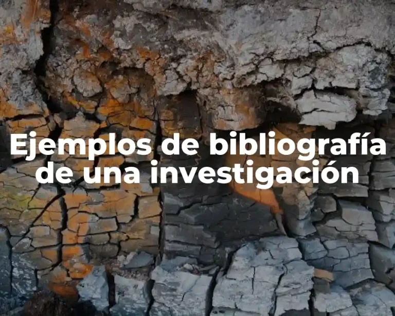 Ejemplos de bibliografía de una investigación