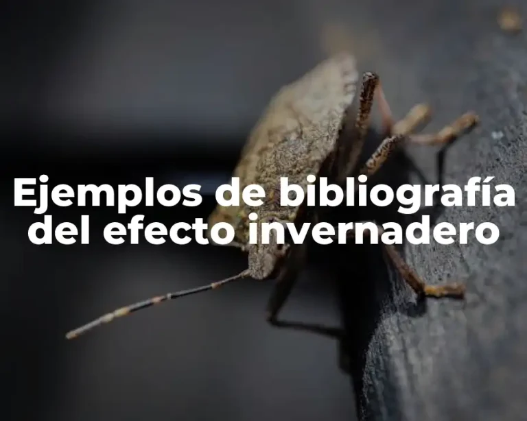 Ejemplos de bibliografía del efecto invernadero