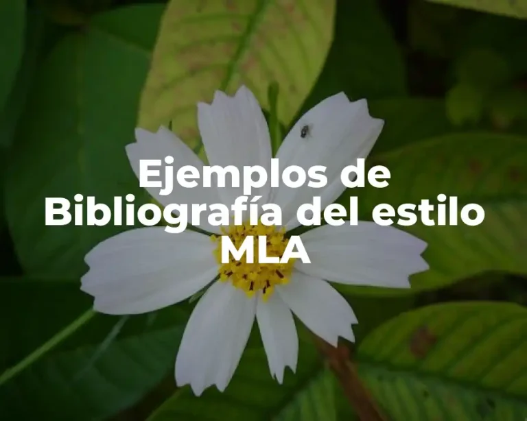 Ejemplos de Bibliografía del estilo MLA