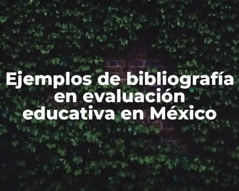 Ejemplos de bibliografía en evaluación educativa en México