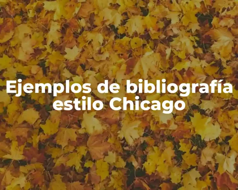 Ejemplos de bibliografía estilo Chicago