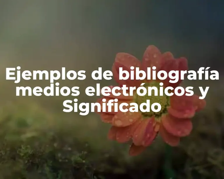 Ejemplos de bibliografía medios electrónicos y Significado
