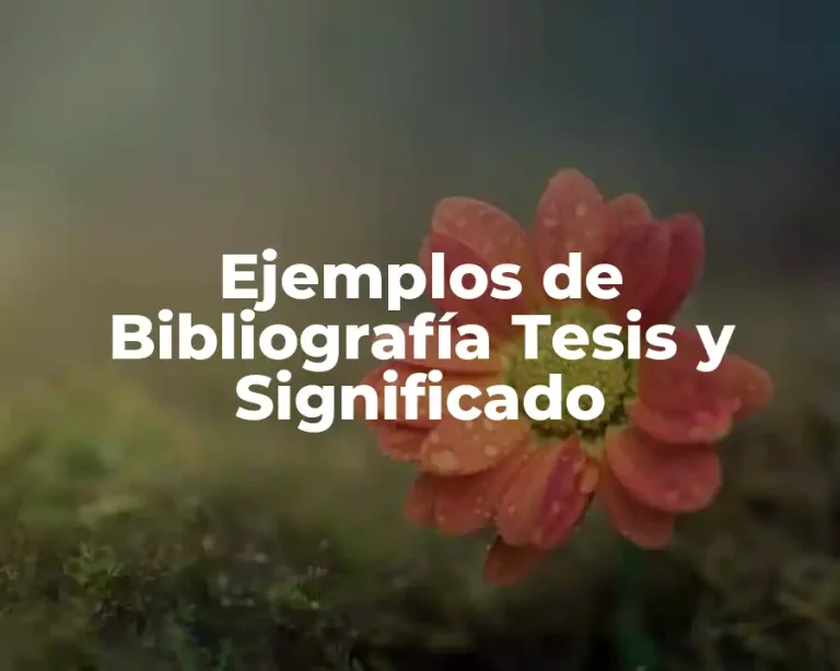 Ejemplos de Bibliografía Tesis y Significado