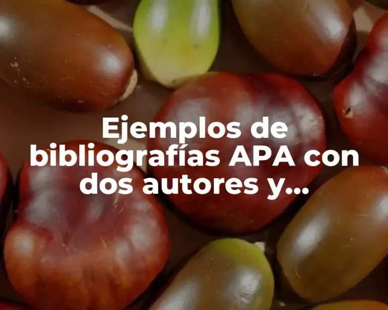 Ejemplos de bibliografías APA con dos autores y Significado