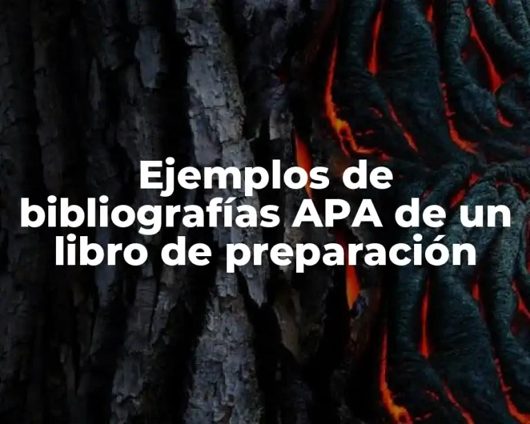 Ejemplos de bibliografías APA de un libro de preparación