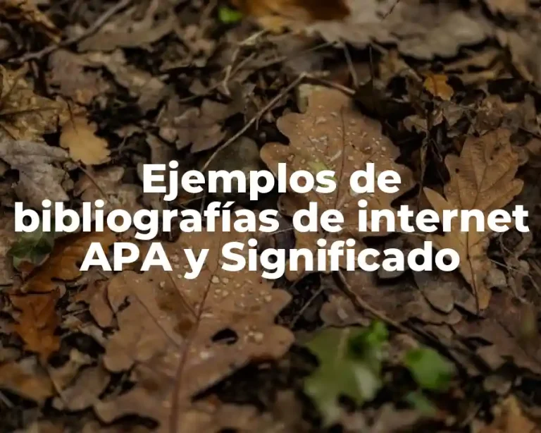 Ejemplos de bibliografías de internet APA y Significado