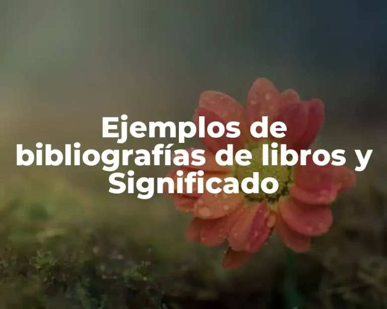 Ejemplos de bibliografías de libros y Significado