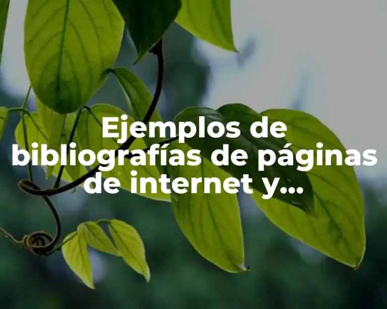 Ejemplos de bibliografías de páginas de internet y Significado
