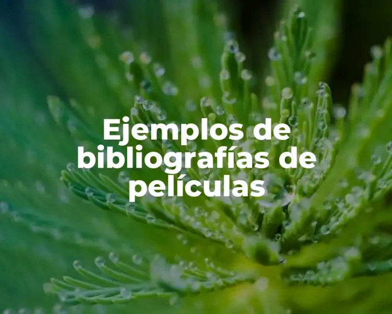 Ejemplos de bibliografías de películas