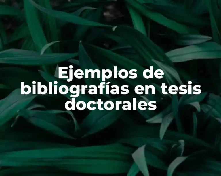 Ejemplos de bibliografías en tesis doctorales