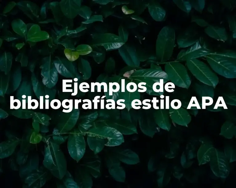 Ejemplos de bibliografías estilo APA