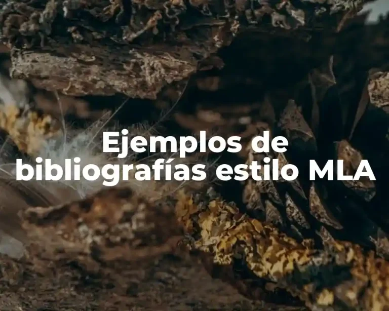 Ejemplos de bibliografías estilo MLA