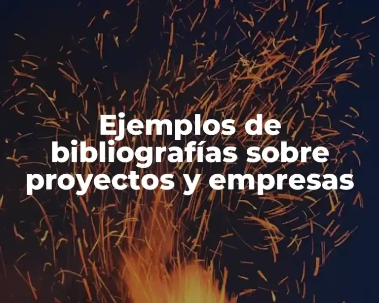 Ejemplos de bibliografías sobre proyectos y empresas