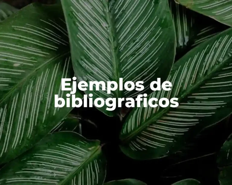 Ejemplos de bibliograficos