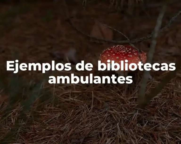 Ejemplos de bibliotecas ambulantes