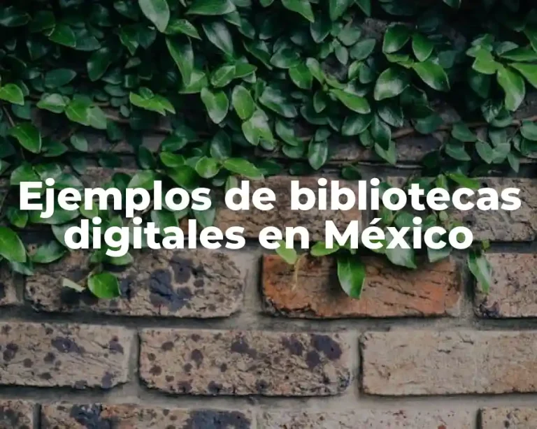 Ejemplos de bibliotecas digitales en México