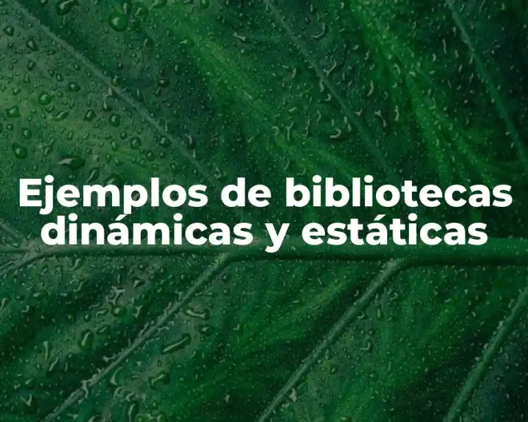 Ejemplos de bibliotecas dinámicas y estáticas