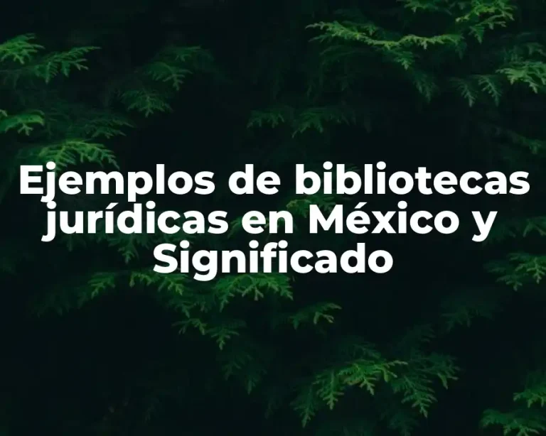 Ejemplos de bibliotecas jurídicas en México y Significado