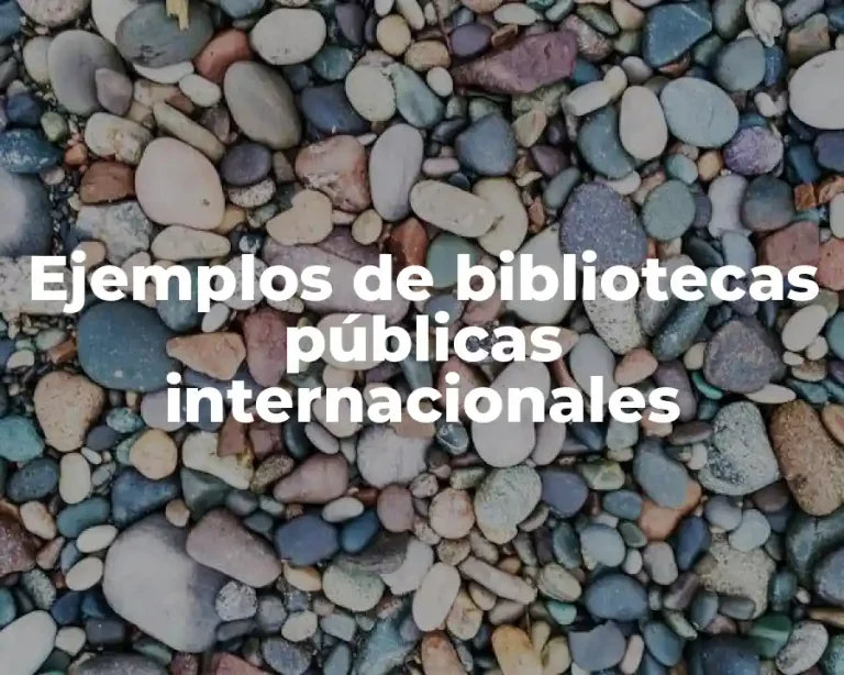 Ejemplos de bibliotecas públicas internacionales
