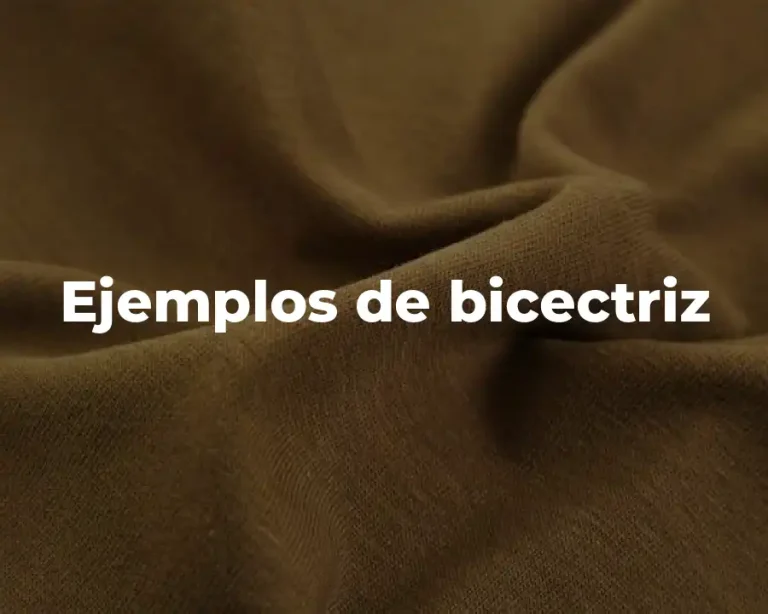 Ejemplos de bicectriz