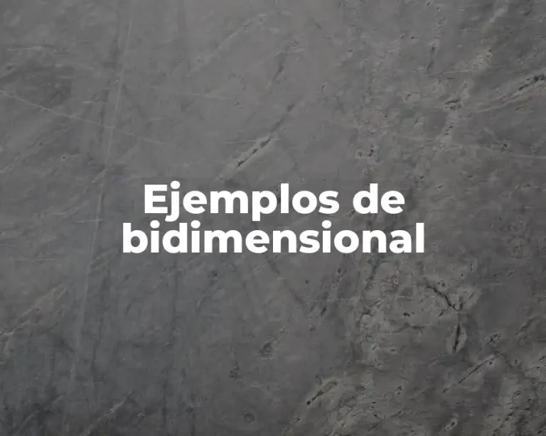 Ejemplos de bidimensional