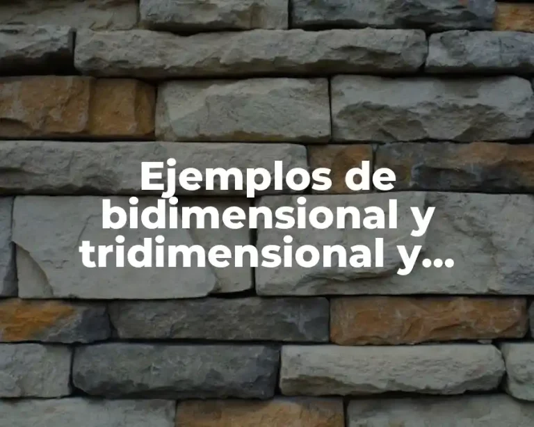 Ejemplos de bidimensional y tridimensional y Significado
