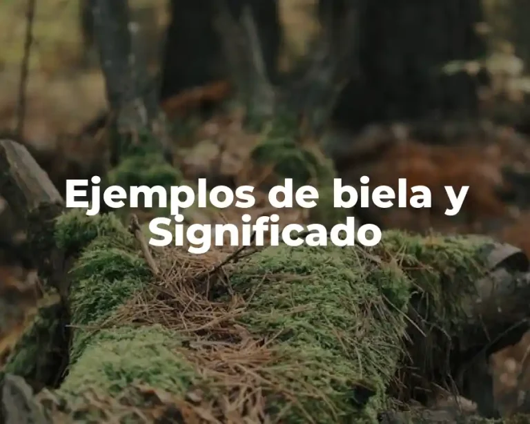 Ejemplos de biela y Significado