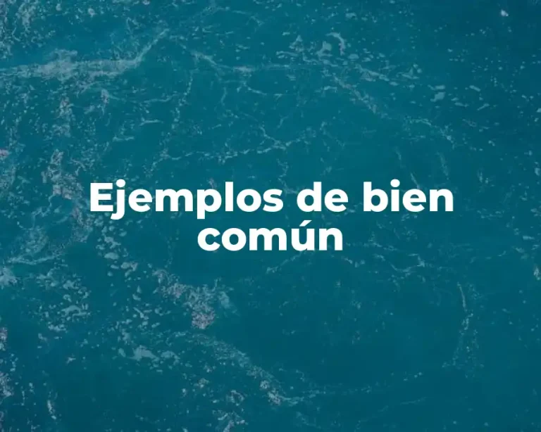 Ejemplos de bien común