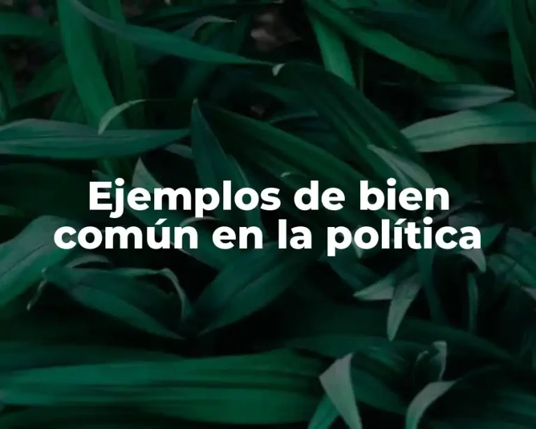 Ejemplos de bien común en la política