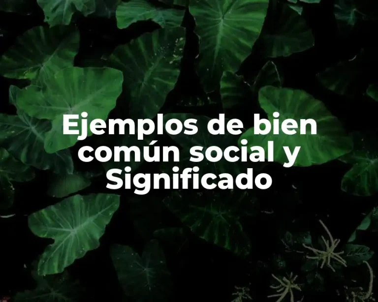 Ejemplos de bien común social y Significado