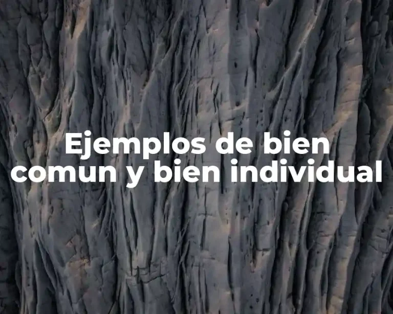 Ejemplos de bien comun y bien individual